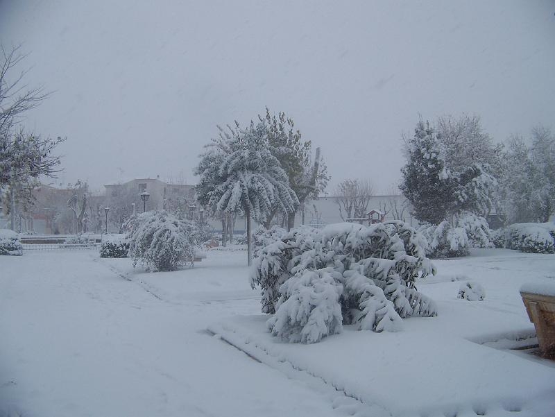 nieve 14 - 12 - 09 091